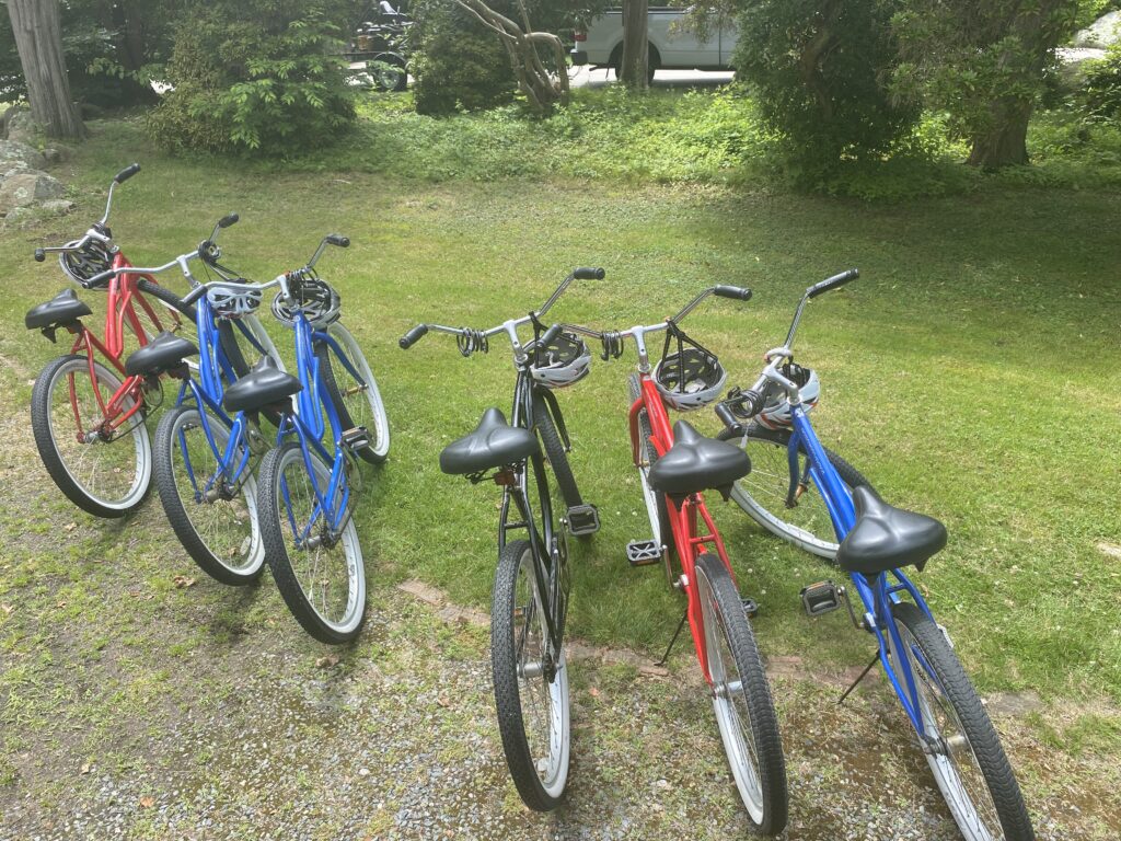 Beach cruiser bicycle rental